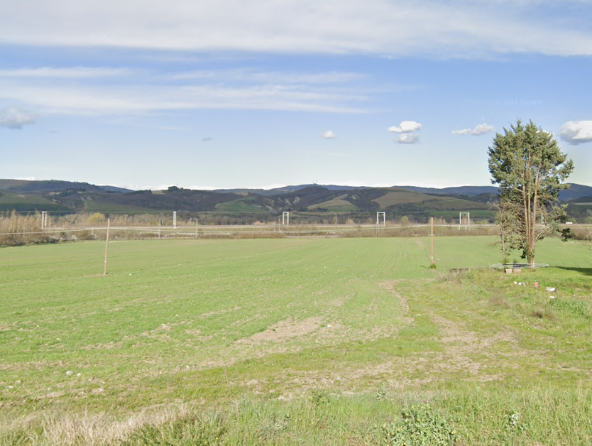 immobile TERRENI ALL'ASTA IN FRAZIONE DI BARDANO A ORVIETO (TR) - 4