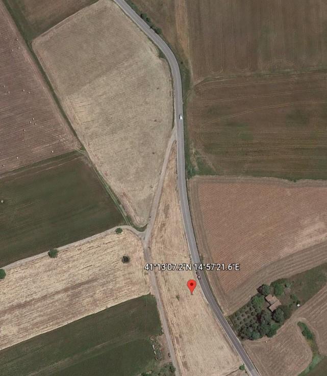 immobile TERRENO ALL'ASTA IN CONTRADA MONTE PALUMBO, BUONALBERGO (BN) - 5