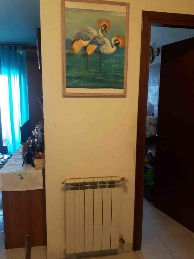 immobile TRILOCALE CON POSTO AUTO SCOPERTO ALL'ASTA IN VIA LUDOVICO ARIOSTO, OLBIA (SS) - 4