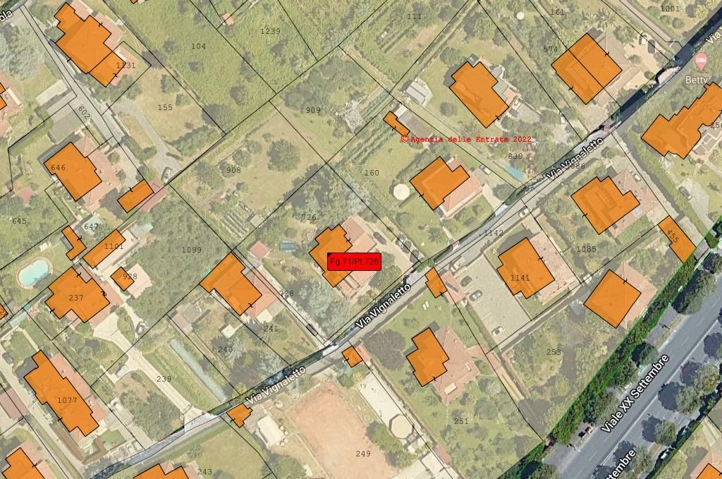 planimetria VILLA BIFAMILIARE CON TERRENO ALL'ASTA IN VIA VIGNALETTO, LOC. MARASIO, CARRARA (MS) - 1