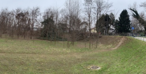 immobile APPEZZAMENTI DI TERRENO ALL'ASTA IN VIA RIVA DEL CRISTO A SCHIO (VI) - 2
