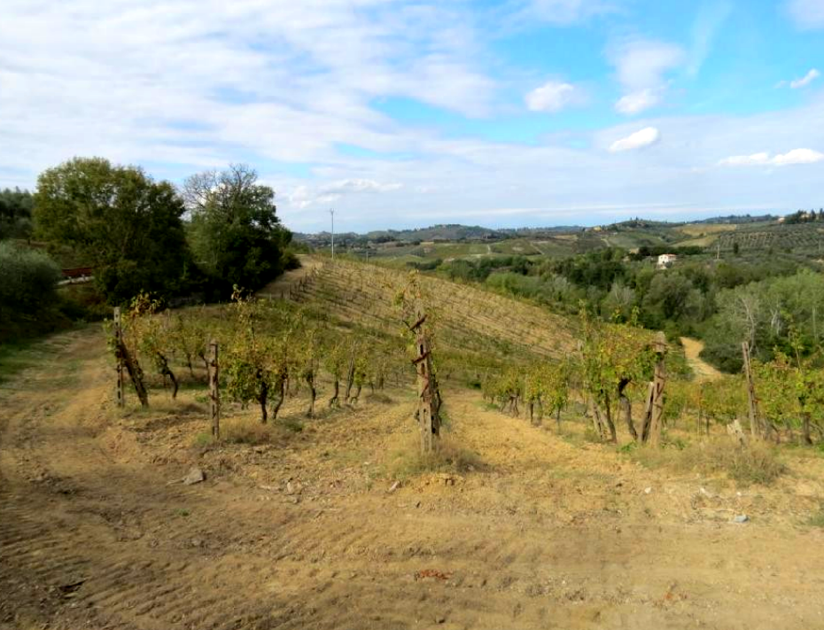 immobile APPEZZAMENTI DI TERRENO ALL'ASTA SITI A FIBBIANA-BAGNANO, 50052 CERTALDO (FI) - 1