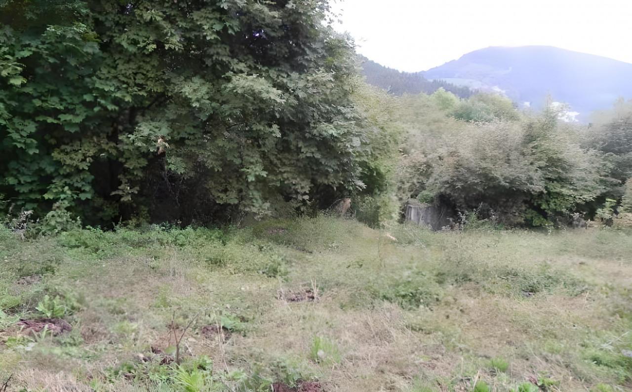immobile TERRENO EDIFICABILE ALL'ASTA VIA VILLAGGIO BIANCO A LUSIANA CONCO (VI) - 5