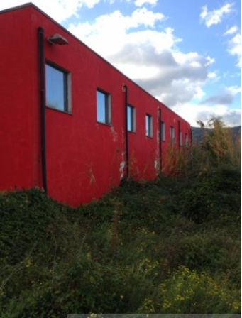 immobile AMPIO CAPANNONE ALL'ASTA IN ZONA INDUSTRIALE A CARPINONE (IS) - 2