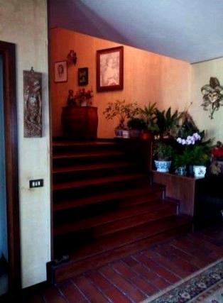 immobile VILLA MULTIACCESSORIATA ALL'ASTA IN VIA BARBARIGA, STRA (VE) - 5