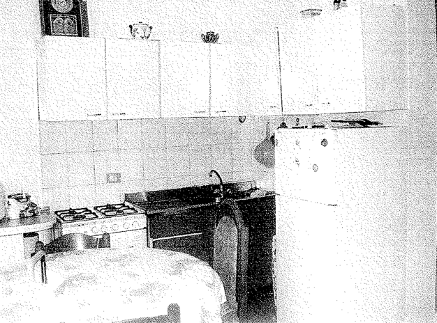 immobile TRILOCALE ALL'ASTA IN VIA DELLA FERRUZZA VECCHIA, FUCECCHIO (FI) - 1