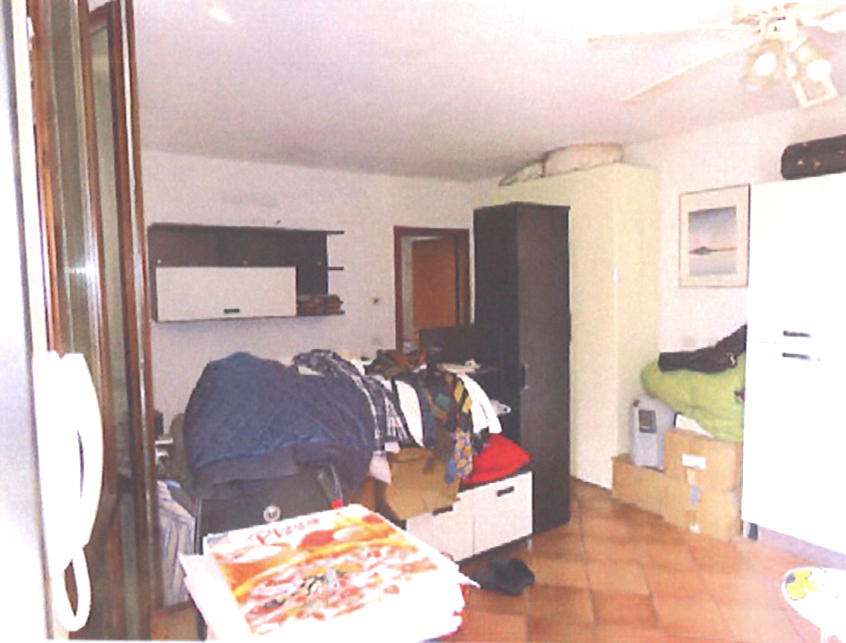 immobile MONOLOCALE ALL'ASTA CON CANTINA E POSTO AUTO ESTERNO IN VIA DANTE, TREZZANO ROSA (MI) - 1