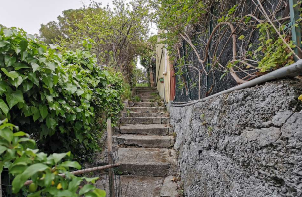 immobile VILLA ALL'ASTA CON TERRAZZO E CORTE IN STRADA BORGO TINASSO A SANREMO (IM) - 3