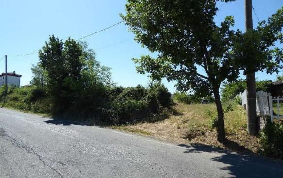 immobile ALL'ASTA TERRENI EDIFICABILI IN VIA S.P. 133, SPINETO SCRIVIA (AL) - 1