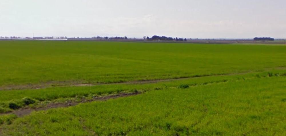 immobile APPEZZAMENTI DI TERRENO ALL'ASTA CONTRADA S.ANTONIO DA PIEDI, RIGNANO GARGANICO (FG) - 1