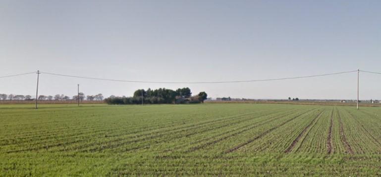 immobile APPEZZAMENTI DI TERRENO ALL'ASTA IN CONTRADA COPPA DEL VENTO , AGRO DI RIGNANO (FG) - 2