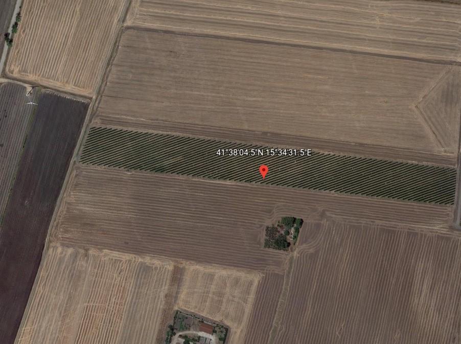 planimetria APPEZZAMENTI DI TERRENO ALL'ASTA IN CONTRADA COPPA DEL VENTO , AGRO DI RIGNANO (FG) - 1