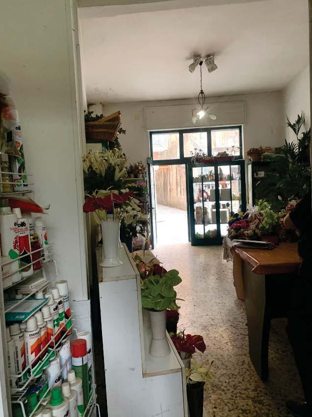 immobile NEGOZIO ALL'ASTA IN CORSO UMBERTO I, SAN CIPRIANO PIACENTINO (SA) - 2