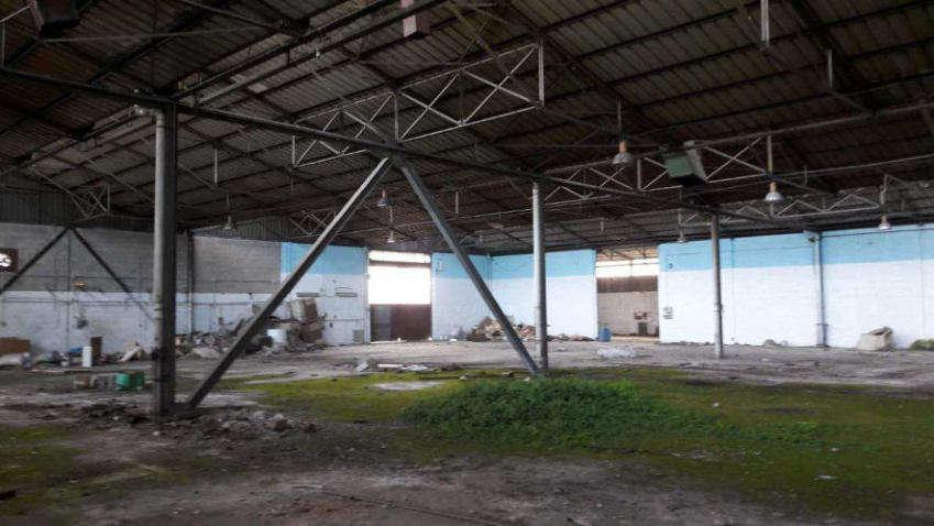immobile CAPANNONE INDUSTRIALE CON TERRENO ALL'ASTA IN VIA GIANI, COMUNE DI SALE (AL) - 5