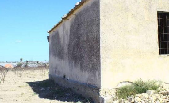 immobile TERRENO CON EDIFICIO RURALE ALL'ASTA IN CONTRADA BURGIO, NOTO (SR) - 3
