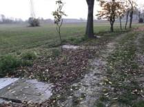 immobile TERRENO AGRICOLO IN VIA MOTTINELLO, COMUNE DI CITTADELLA (PD) - 3