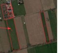 immobile TERRENO AGRICOLO IN VIA MOTTINELLO, COMUNE DI CITTADELLA (PD) - 4