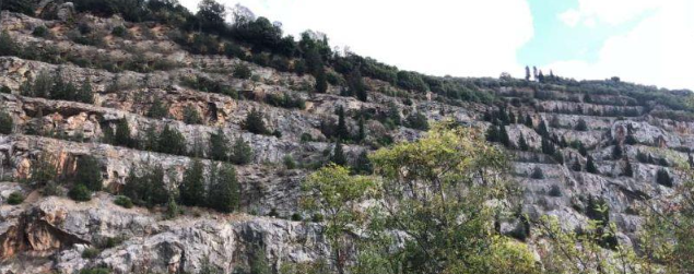 immobile TERRENO IN VENDITA ALL'ASTA IN VIA DELLE CAVE, MONSUMMANO TERME (PT) - 3