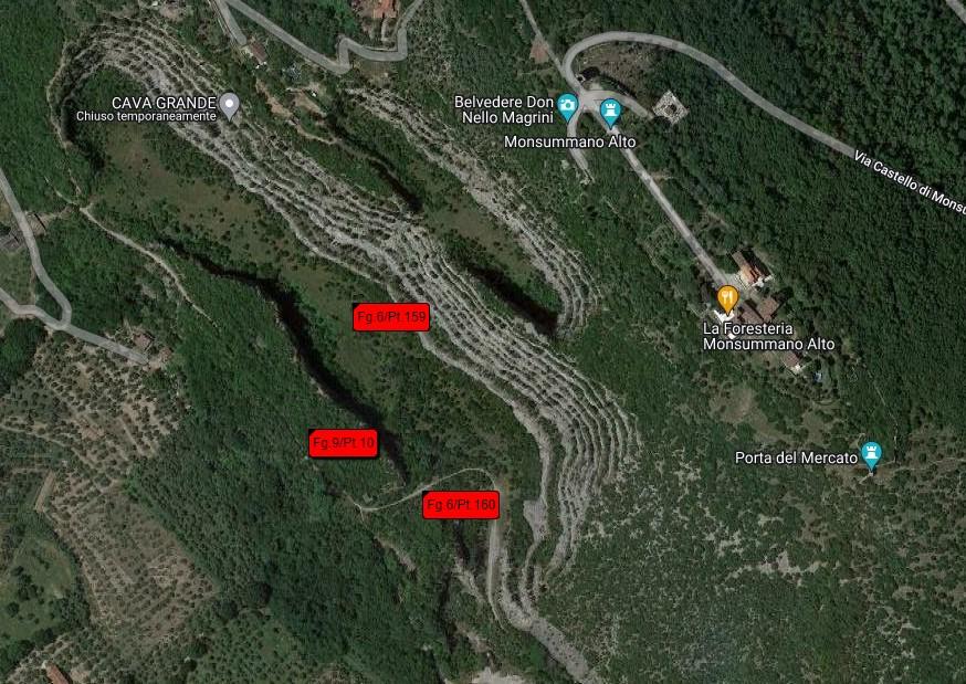 planimetria TERRENO IN VENDITA ALL'ASTA IN VIA DELLE CAVE, MONSUMMANO TERME (PT) - 1