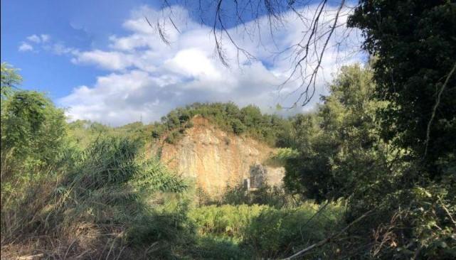immobile TERRENO AGRICOLO ALL'ASTA IN VIA CASCIANI, MONTECATINI TERME (PT) - 1