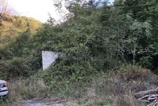 immobile TERRENO AGRICOLO ALL'ASTA IN VIA CASCIANI, MONTECATINI TERME (PT) - 5
