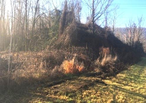 immobile TERRENO EDIFICABILE ALL'ASTA IN VIA EUROPA, CONCESIO (BS) - 1