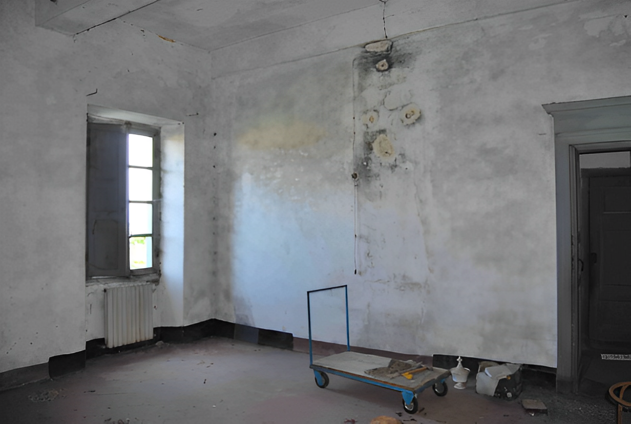 immobile COMPENDIO IMMOBILIARE ALL'ASTA IN STRADA PER MUGARONE, PECETTO DI VALENZA (AL) - 3