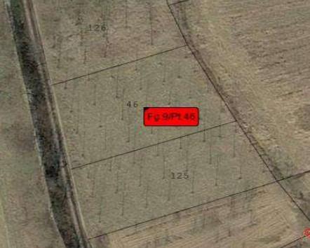 immobile TERRENI AGRICOLI ALL'ASTA IN PEROSA CANAVESE E SCARMAGNO (TO) - 1