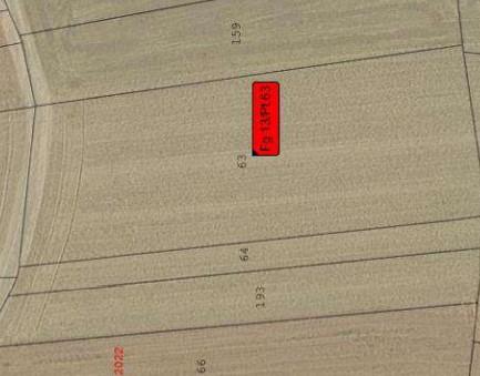 immobile TERRENI AGRICOLI ALL'ASTA IN PEROSA CANAVESE E SCARMAGNO (TO) - 3