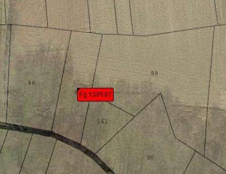 immobile TERRENI AGRICOLI ALL'ASTA IN PEROSA CANAVESE E SCARMAGNO (TO) - 4