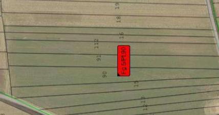 immobile TERRENI AGRICOLI ALL'ASTA IN PEROSA CANAVESE E SCARMAGNO (TO) - 5