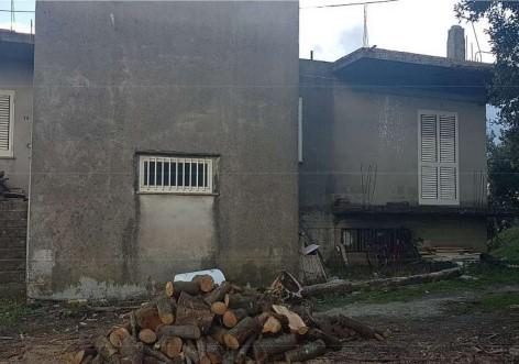 immobile QUADRILOCALE CON CORTE ALL'ASTA IN CONTRADA GIANNARENA, CANOLO (RC) - 2
