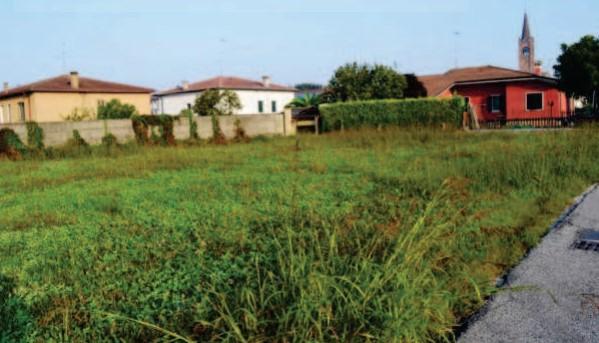 immobile TRE TERRENI EDIFICABILI ALL'ASTA IN VIA DON CALABRIA, TREVENZUOLO (VR) - 3