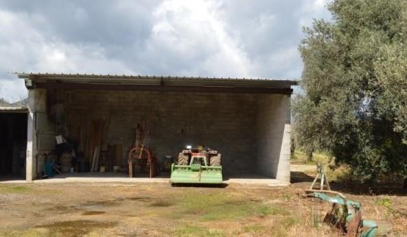 immobile COMPLESSO COMMERCIALE ALL'ASTA UBICATO IN LOCALITA' SANTU PERDU, GUSPINI (SU) - 4