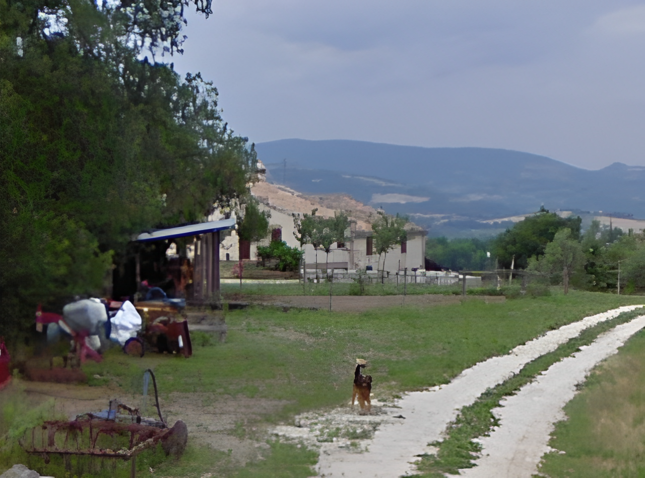 immobile COMPLESSO ALL'ASTA CON TERRENO IN VIA PEGLIO, SANT'IPPOLITO (PU) - 3