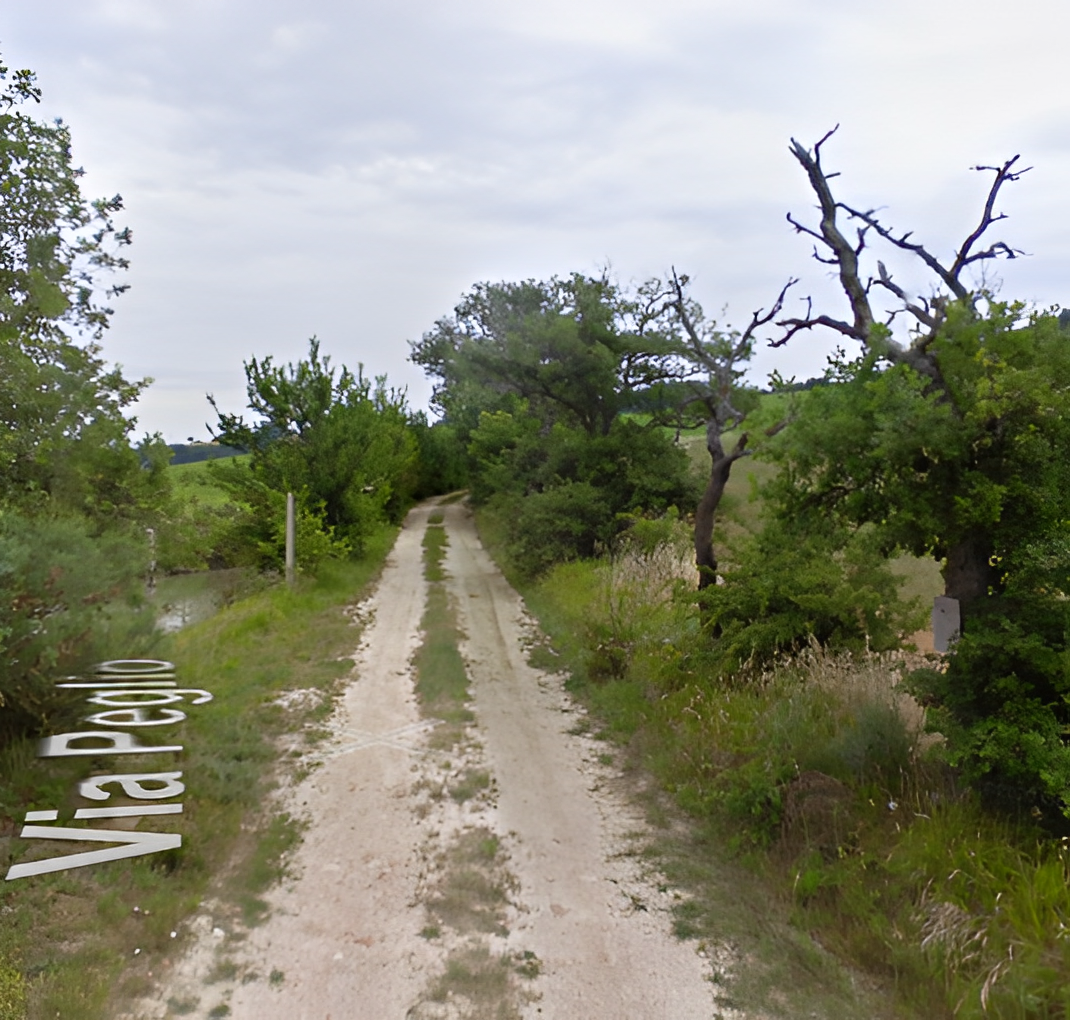 immobile COMPLESSO ALL'ASTA CON TERRENO IN VIA PEGLIO, SANT'IPPOLITO (PU) - 5