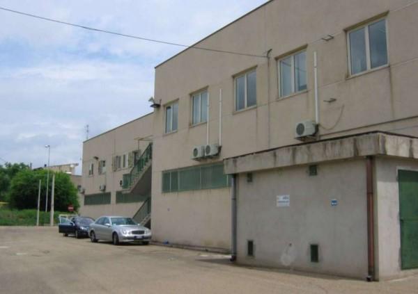 immobile OPIFICIO ALL'ASTA IN LOCALITÀ MACCHIA DI FERRANDINA, FERRANDINA (MT) - 1