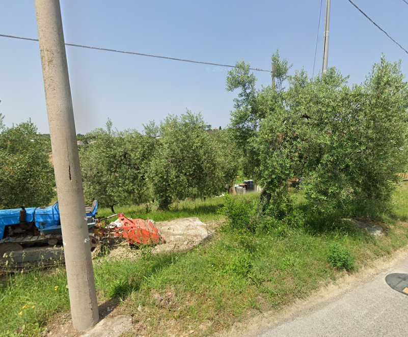 immobile TERRENO AGRICOLO ALL'ASTA IN VIA DRAGONARA, SAN GIOVANNI TEATINO (CH) - 4