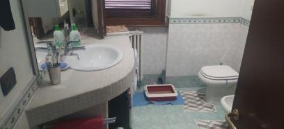 immobile IN VENDITA ALL'ASTA BILOCALE CON GARAGE IN VIA CARLO GEROLAMO, CARVICO (BG) - 5