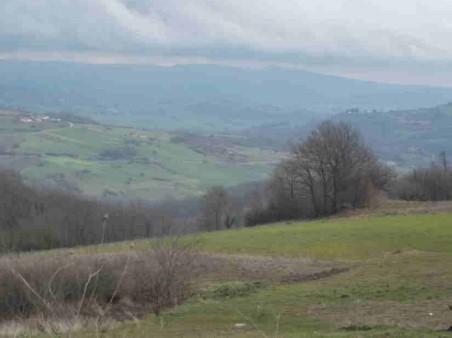 immobile QUADRILOCALE, NEGOZIO E TERRENO ALL'ASTA IN CONTRADA IADANZA, CAMPOLATTARO (BN) - 5