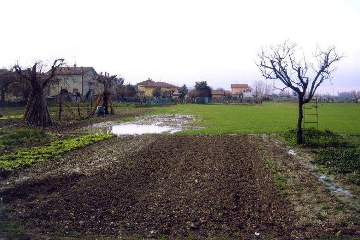 immobile APPARTAMENTI E TERRENO ALL'ASTA IN VIA TOMBACCIA, FANO (PU) - 5