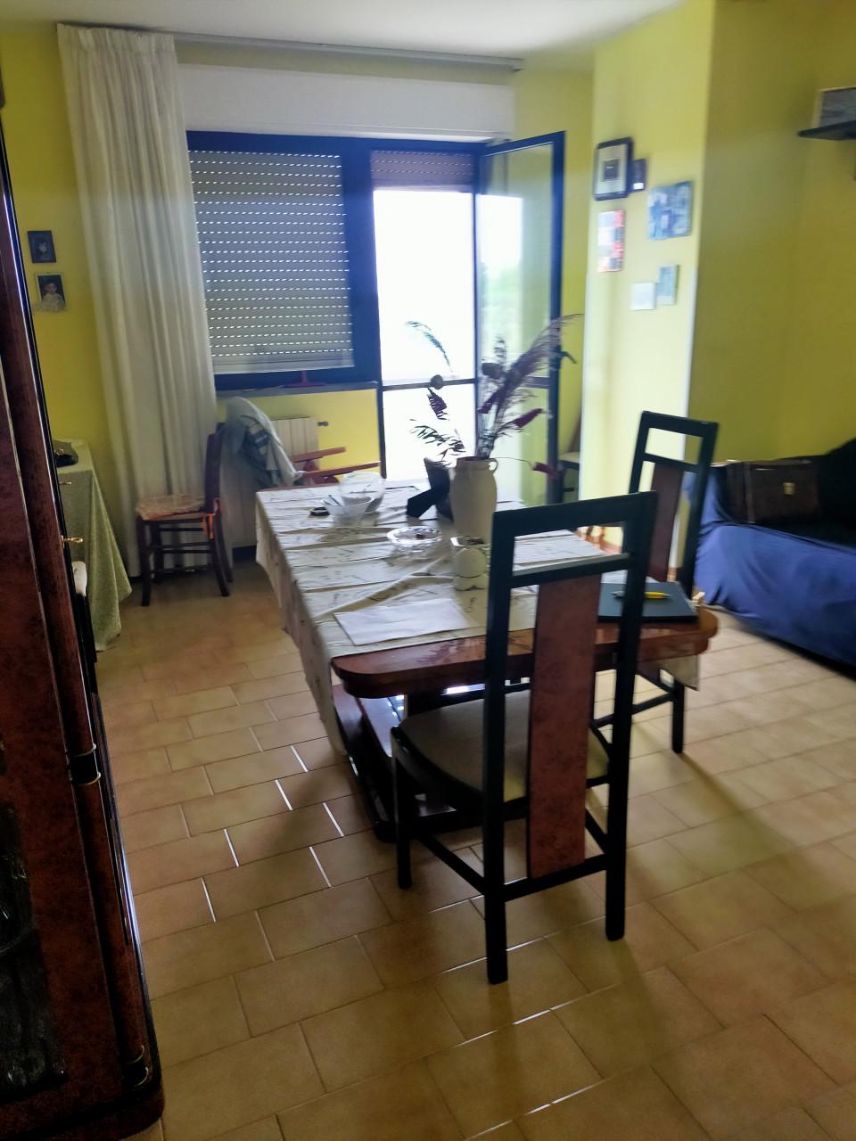 immobile PENTALOCALE CON RIPOSTIGLIO ALL'ASTA IN VIA C. COLOMBO, S. MARTINO IN PENSILIS (CB) - 1
