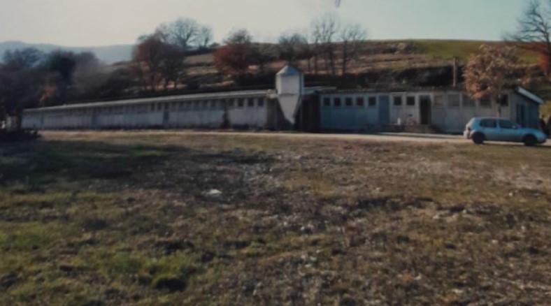 immobile CAPANNONE, STALLA, TETTOIA E TERRENO ALL'ASTA IN VIA MERCATELLO, MARSCIANO (PG) - 1