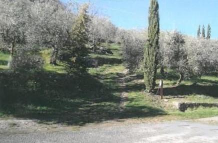 immobile TERRENI AGRICOLI E EDIFICIO AGRICOLO ALL'ASTA IN VIA LEONARDO DA VINCI, QUARRATA (PT) - 2