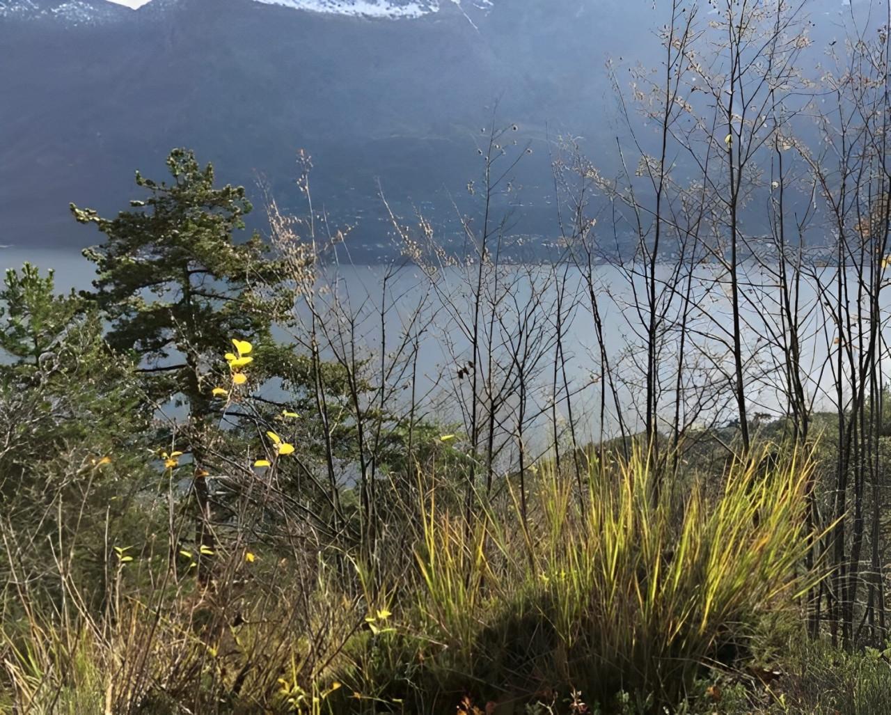 immobile TERRENO ALL'ASTA IN LOCALITÀ CAMPI, TREMOSINE SUL GARDA (BS) - 3