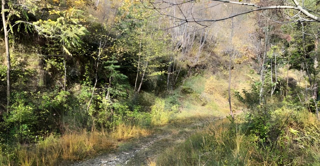 immobile TERRENO ALL'ASTA IN LOCALITÀ CAMPI, TREMOSINE SUL GARDA (BS) - 5