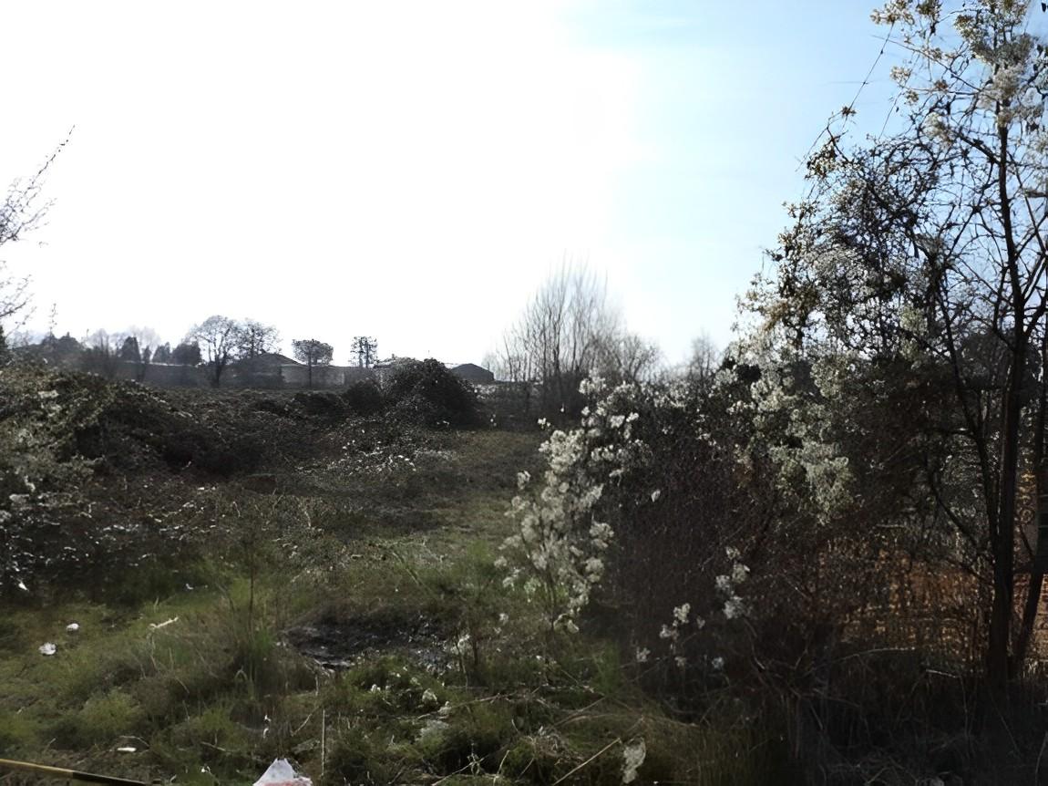 immobile TERRENO ALL'ASTA IN VIA MILANO, BONATE SOPRA (BG) - 1