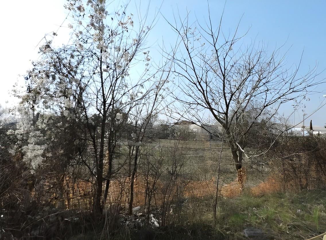 immobile TERRENO ALL'ASTA IN VIA MILANO, BONATE SOPRA (BG) - 2