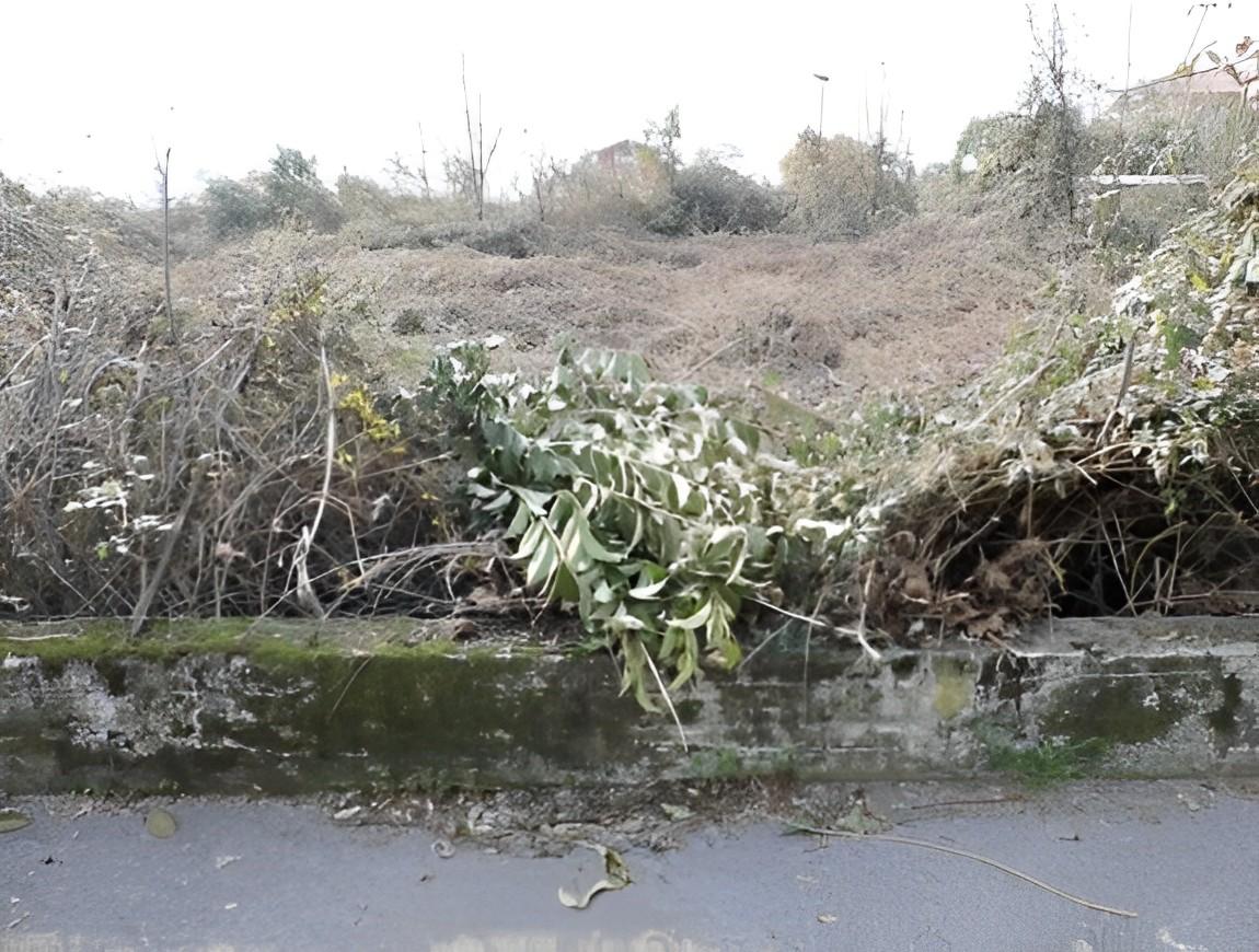 immobile TERRENO ALL'ASTA IN VIA VENEZIA, BONATE SOPRA (BG) - 5