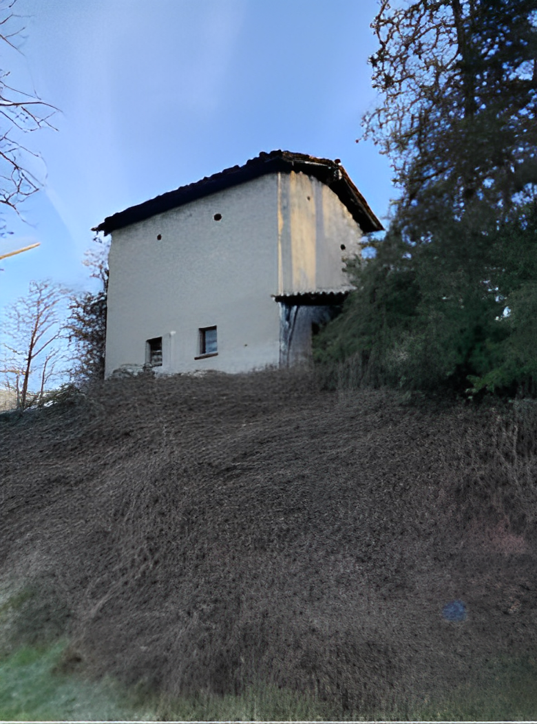 immobile RUSTICO DA RISTRUTTURARE CON TERRENI ALL'ASTA IN VIA VALL'ALTA, CENE (BG) - 4